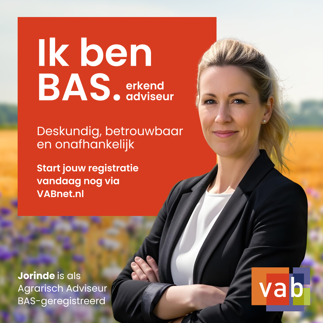 Wat is BAS-erkenning en waarom zou je dat willen?