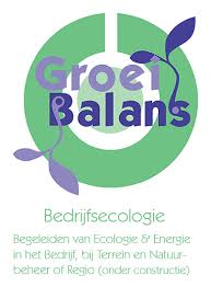 Logo GroeiBalans T & O BV