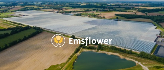 Emsfloweruit de lucht